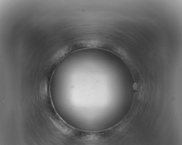 X0000081450310200701191721