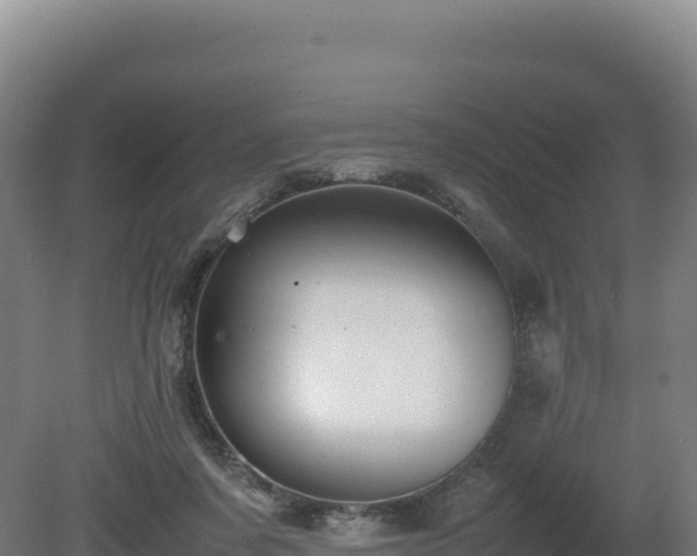 X0000081450311200701191721