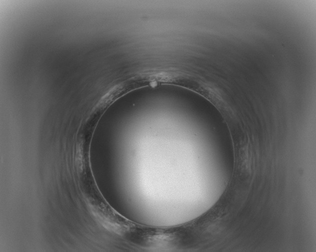 X0000081450312200701191721