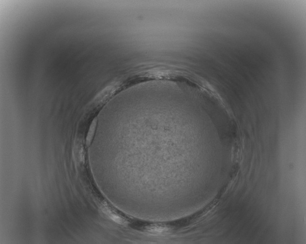 X0000081450313200701191721