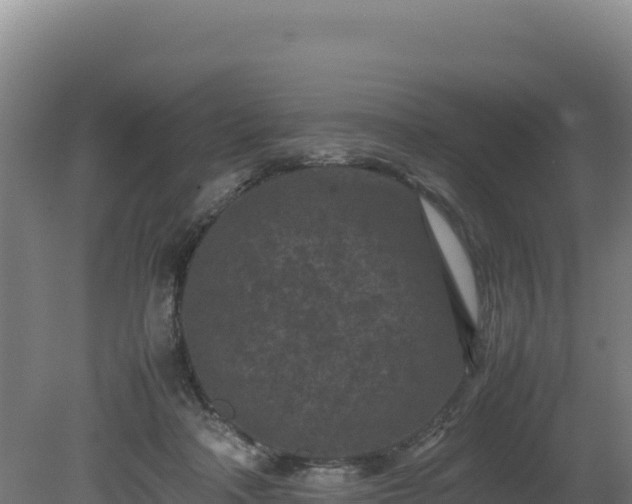 X0000081450314200701191721