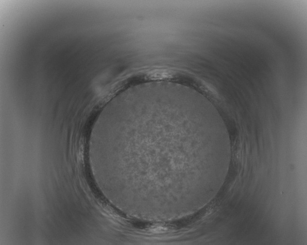 X0000081450315200701191721