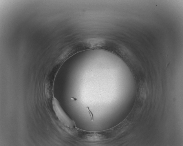 X0000081450316200701191720