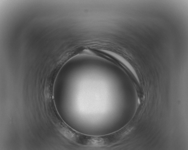 X0000081450317200701191720