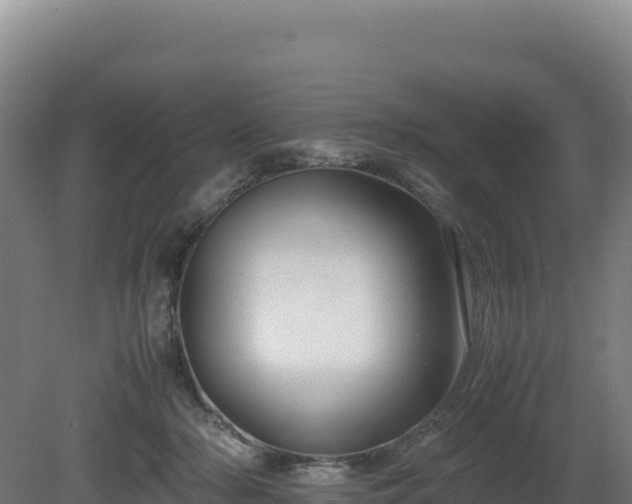 X0000081450318200701191720