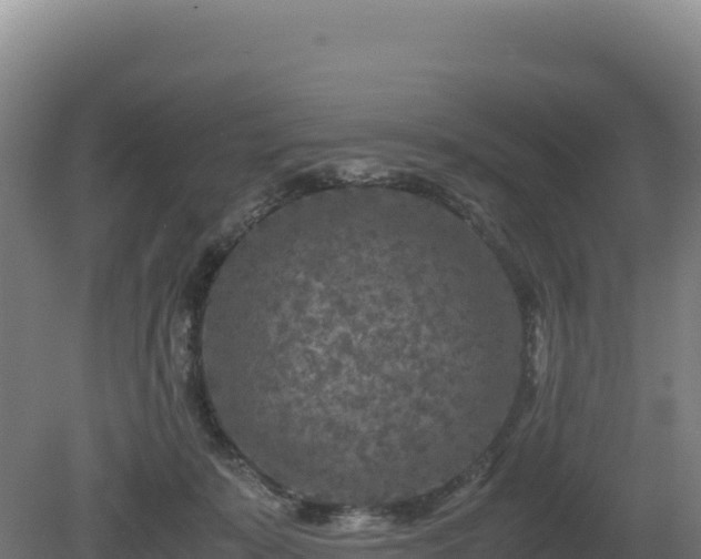 X0000081450319200701191720