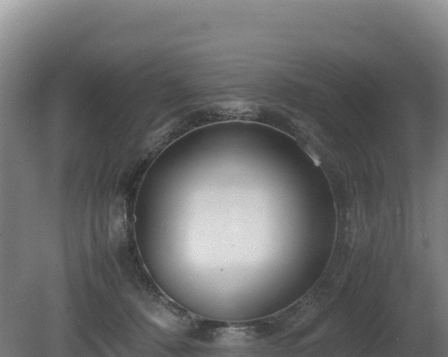 X0000081450320200701191720