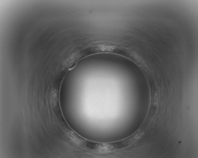 X0000081450321200701191720