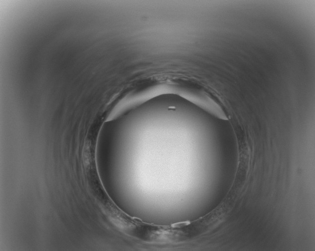 X0000081450323200701191720