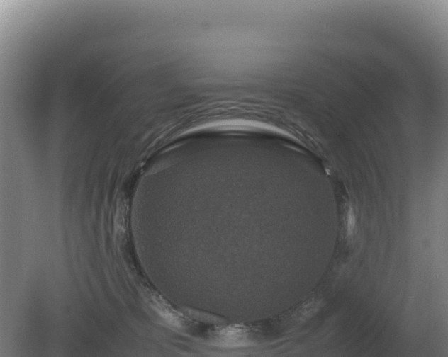 X0000081450325200701191720