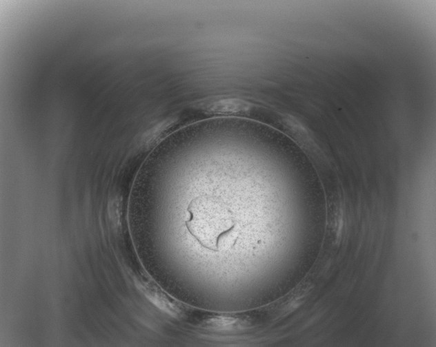 X0000081450326200701191720