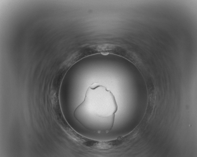 X0000081450327200701191720