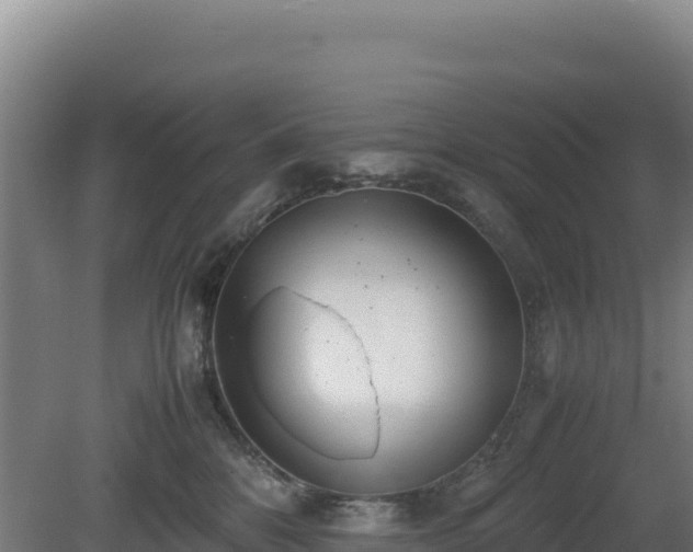 X0000081450328200701191720