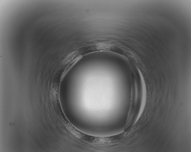 X0000081450329200701191720