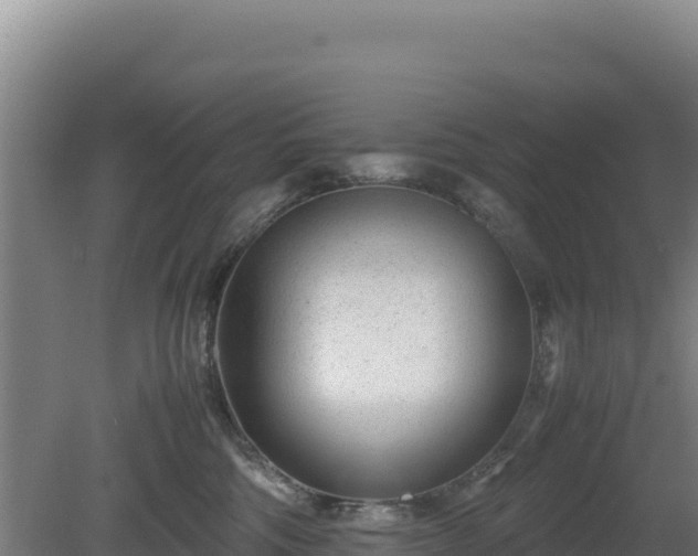 X0000081450330200701191720