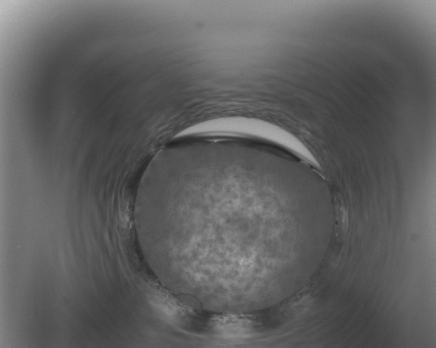 X0000081450331200701191720