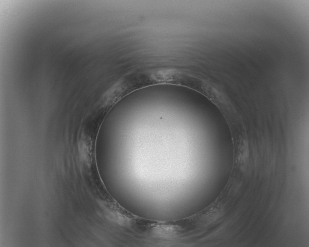 X0000081450332200701191720