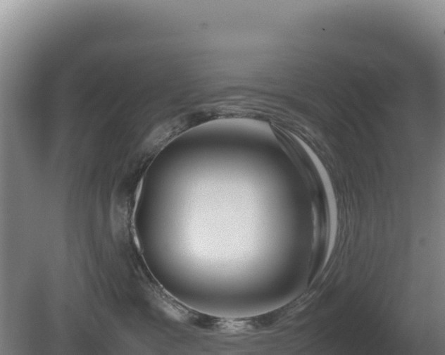 X0000081450333200701191720