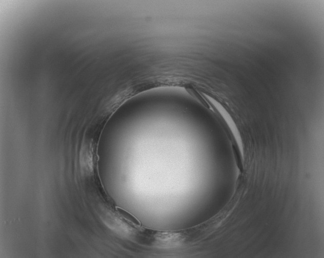 X0000081450334200701191720