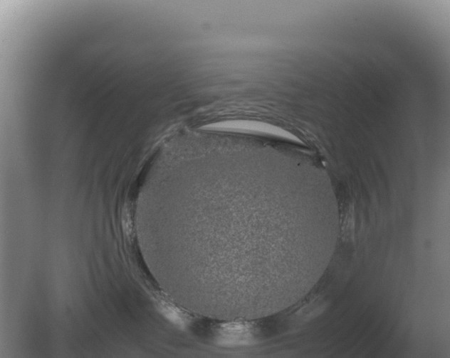 X0000081450335200701191720