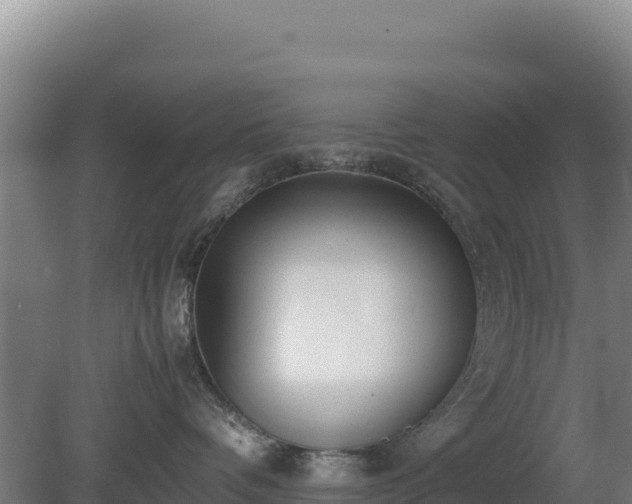 X0000081450336200701191720