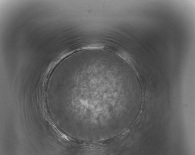 X0000081450337200701191719