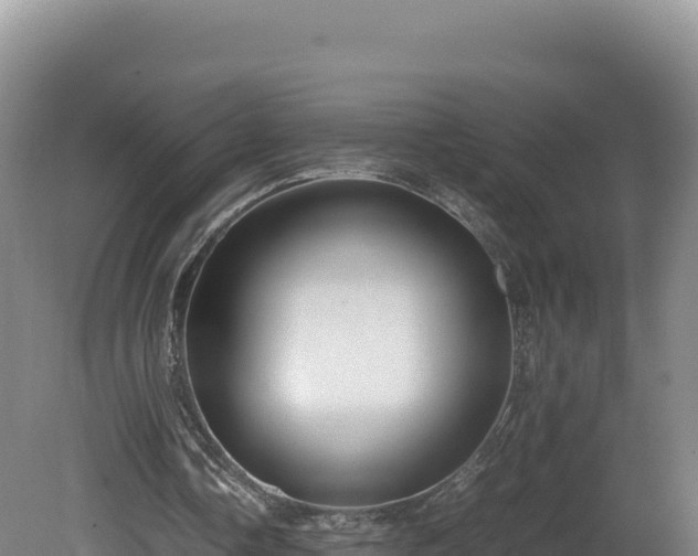 X0000081450338200701191719