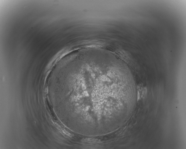 X0000081450339200701191719