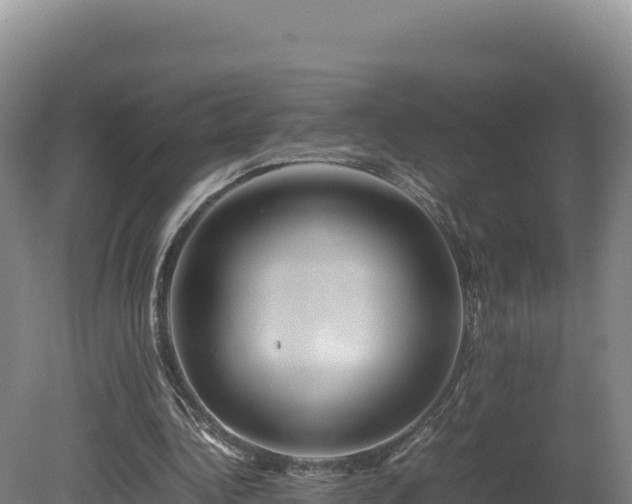 X0000081450340200701191719