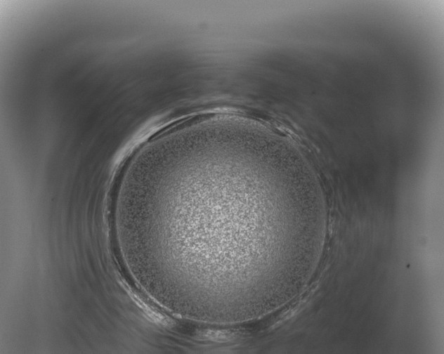 X0000081450341200701191719