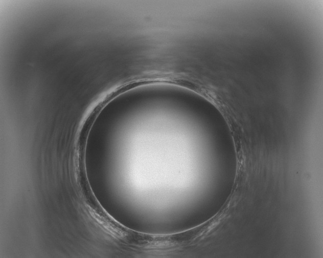 X0000081450342200701191719