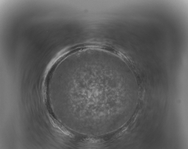 X0000081450343200701191719