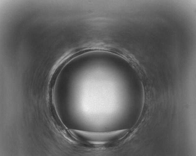 X0000081450344200701191719