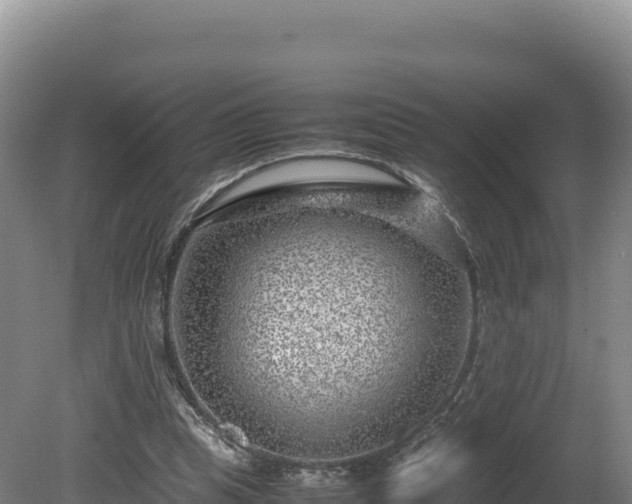 X0000081450345200701191719