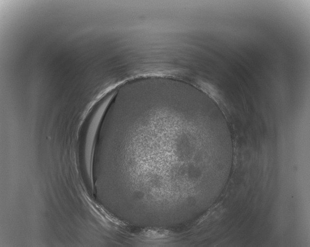 X0000081450346200701191719