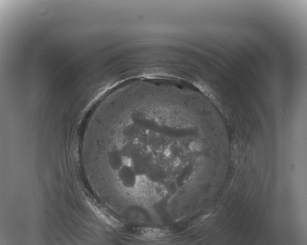 X0000081450347200701191719