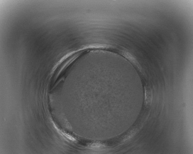 X0000081450348200701191720