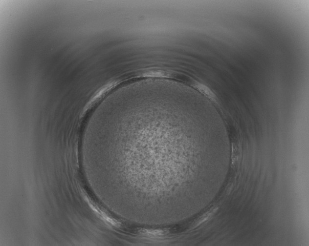 X0000081450349200701191720