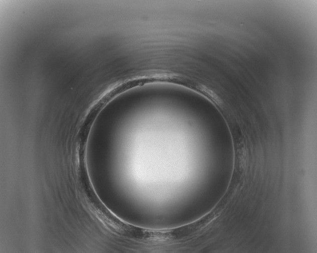 X0000081450350200701191720