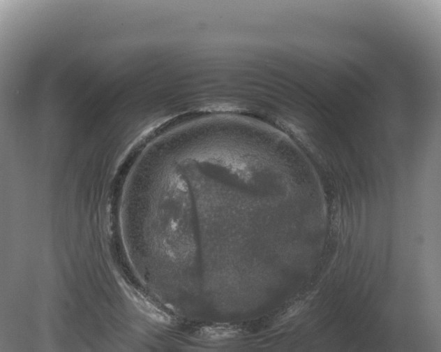 X0000081450351200701191720