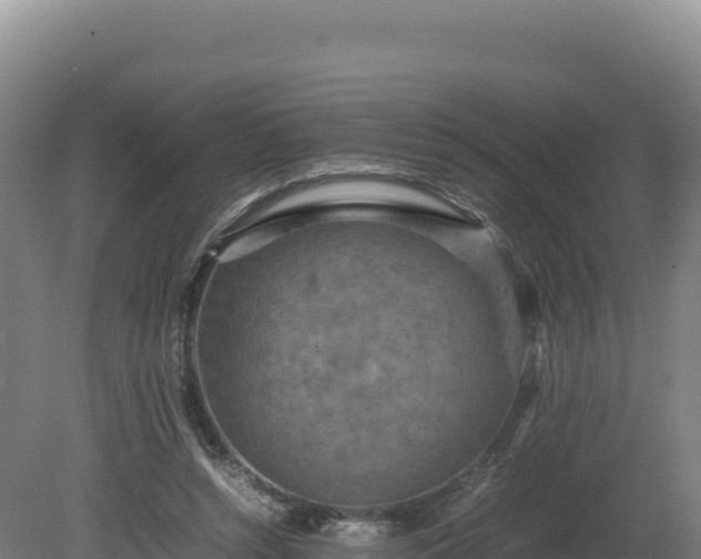 X0000081450352200701191720