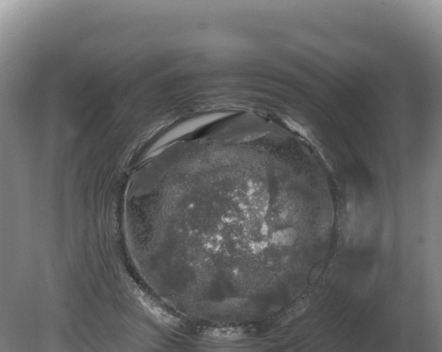 X0000081450353200701191720