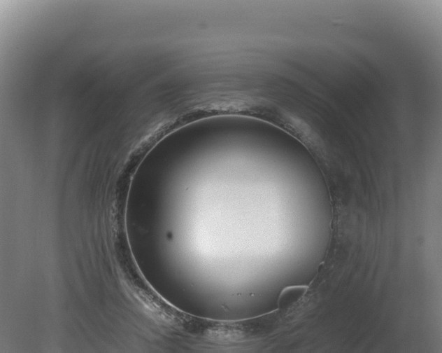 X0000081450354200701191720