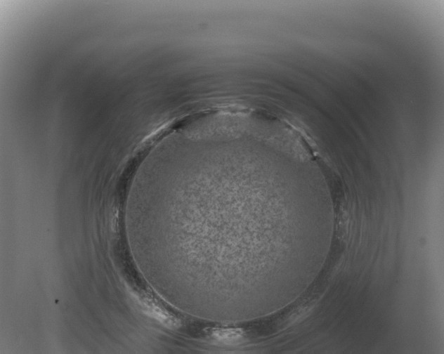 X0000081450355200701191720