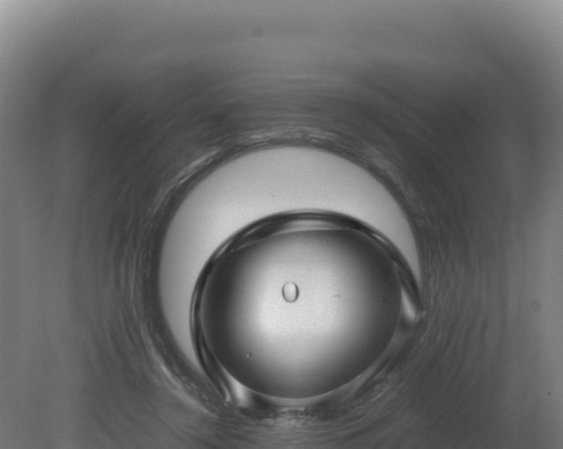 X0000081450356200701191720