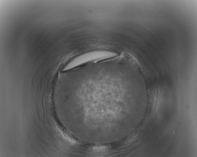 X0000081450357200701191720