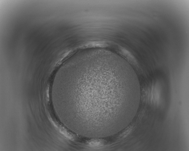 X0000081450358200701191720