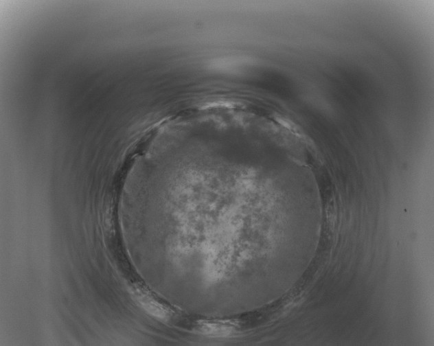 X0000081450359200701191720