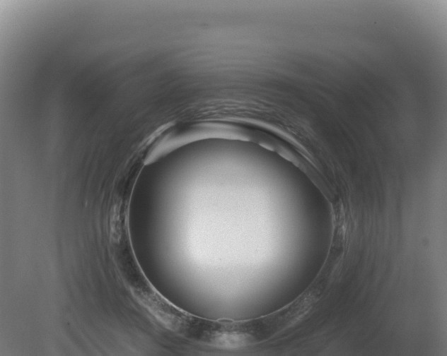 X0000081450360200701191720