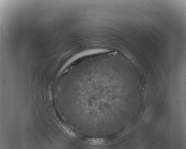 X0000081450361200701191720